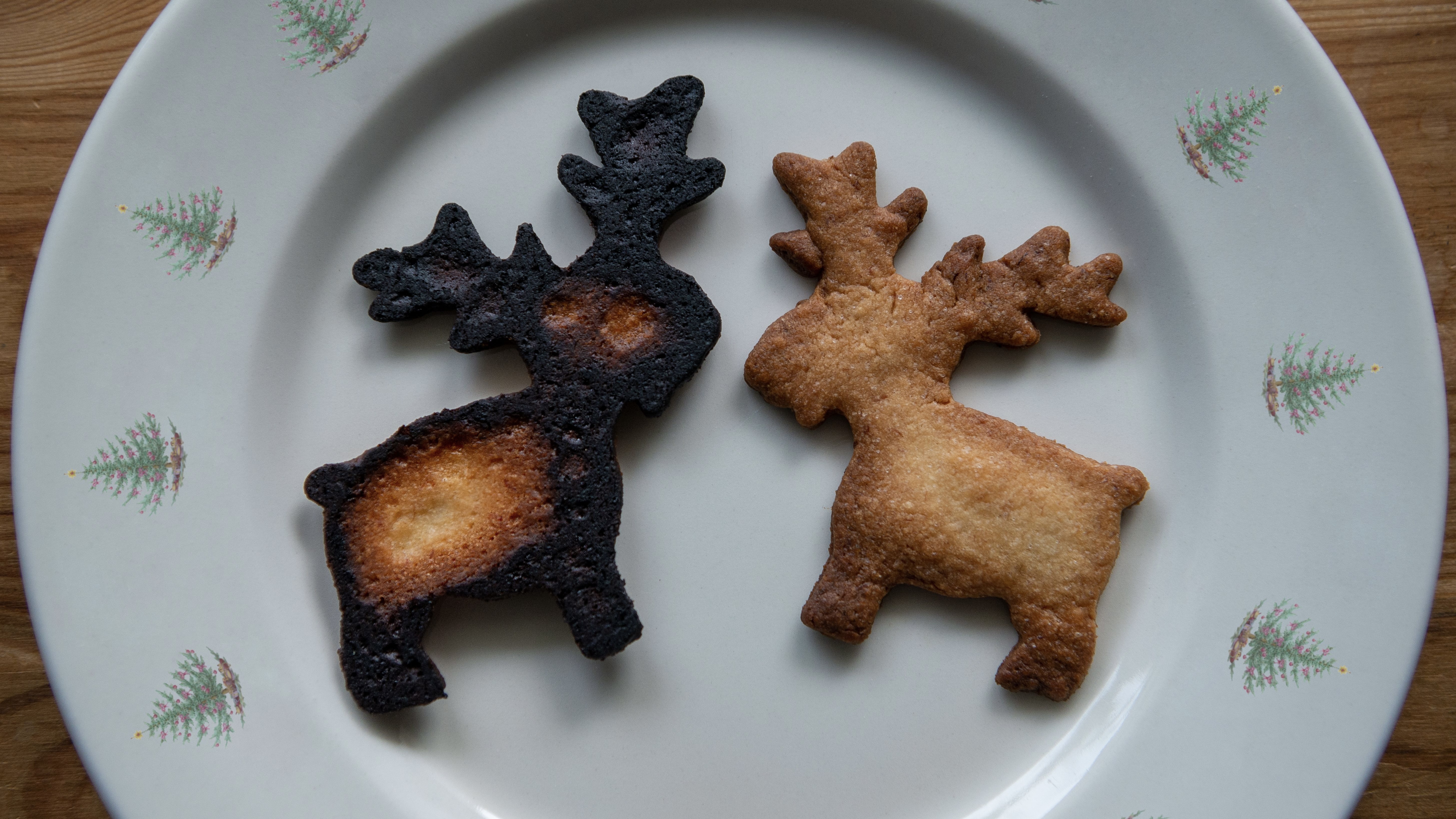 HOLIDAY GATHERINGS AND FAMILY DISPUTES